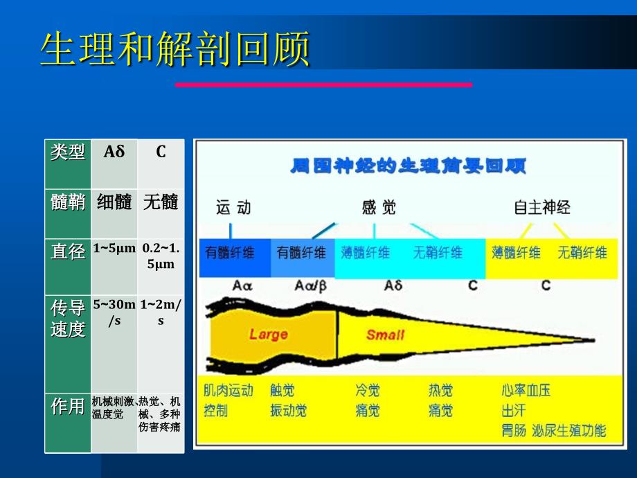 周围神经病诊断和鉴别诊断上海_第3页