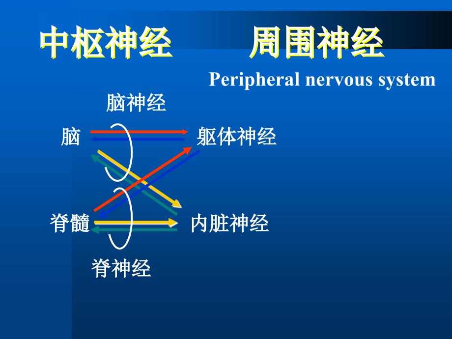 周围神经病诊断和鉴别诊断上海_第4页