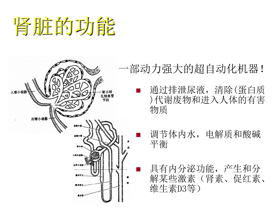 慢性肾脏疾病的护理课件_第3页