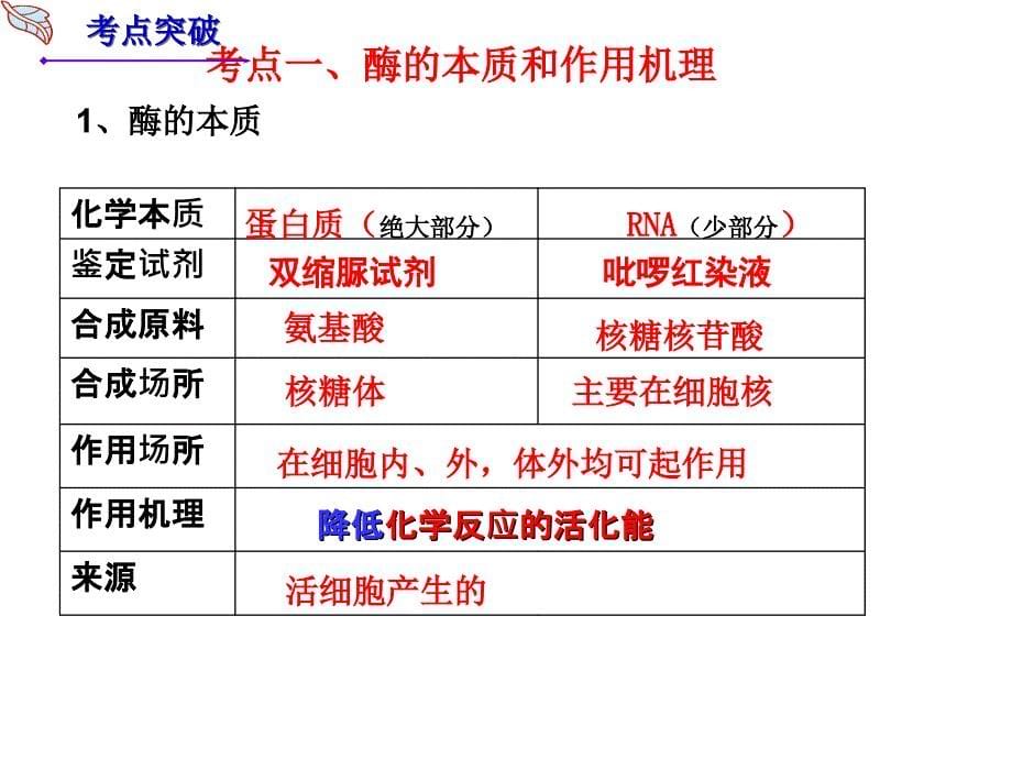 51化学反应活化能的酶_第5页