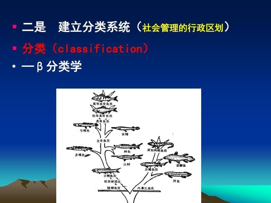 分类的基本原理和方法课件_第5页