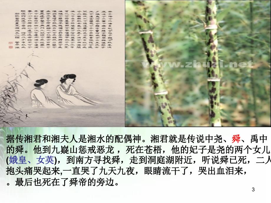 湘夫人PPT优秀课件_第3页