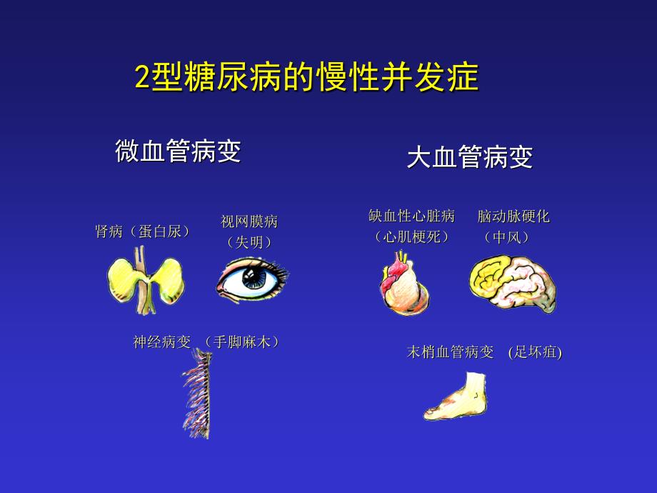 糖尿病患者胰岛素的应用.ppt_第3页