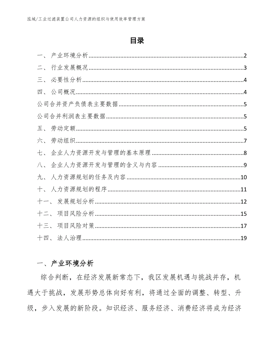 工业过滤装置公司人力资源的组织与使用效率管理方案（范文）_第2页