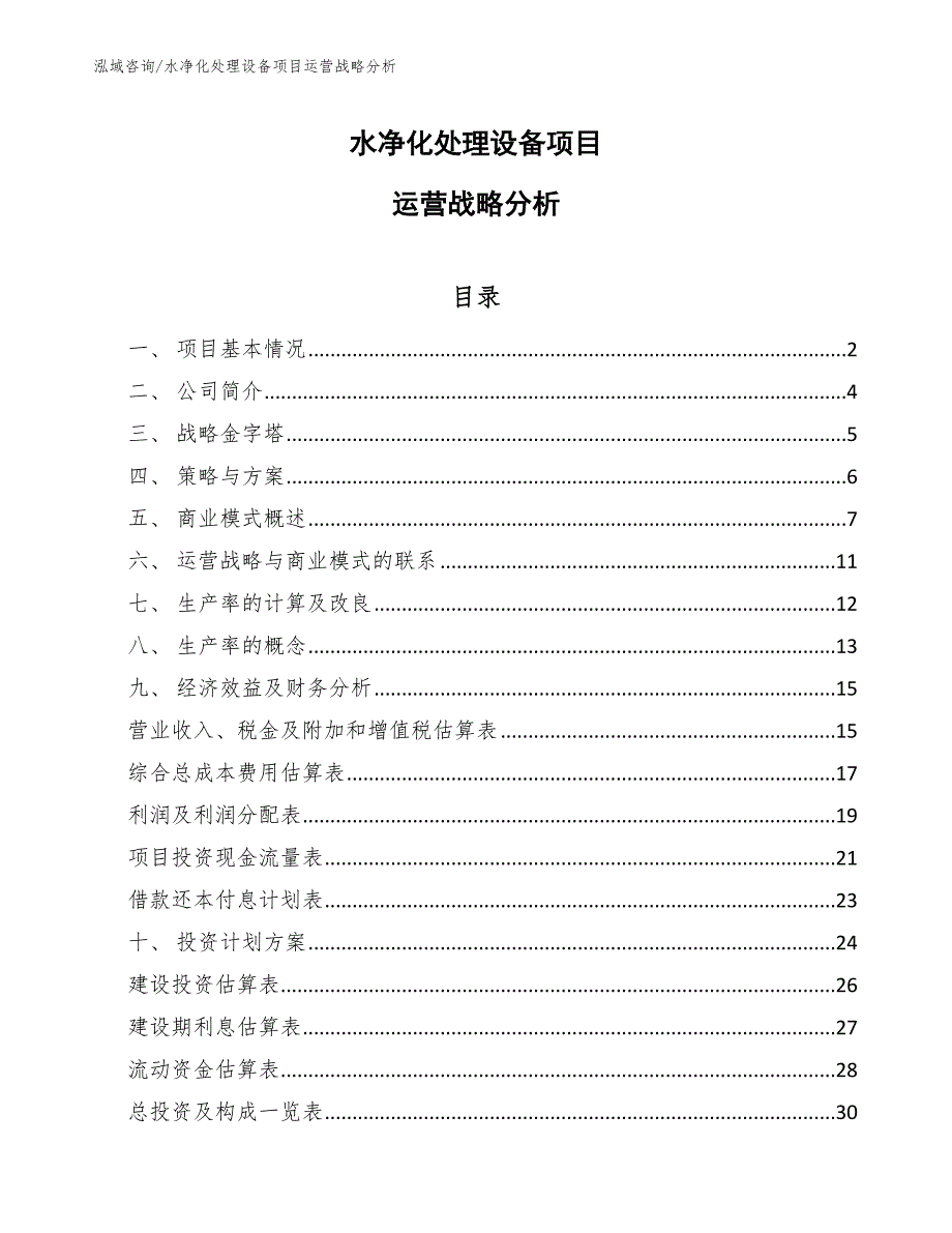 水净化处理设备项目运营战略分析_第1页