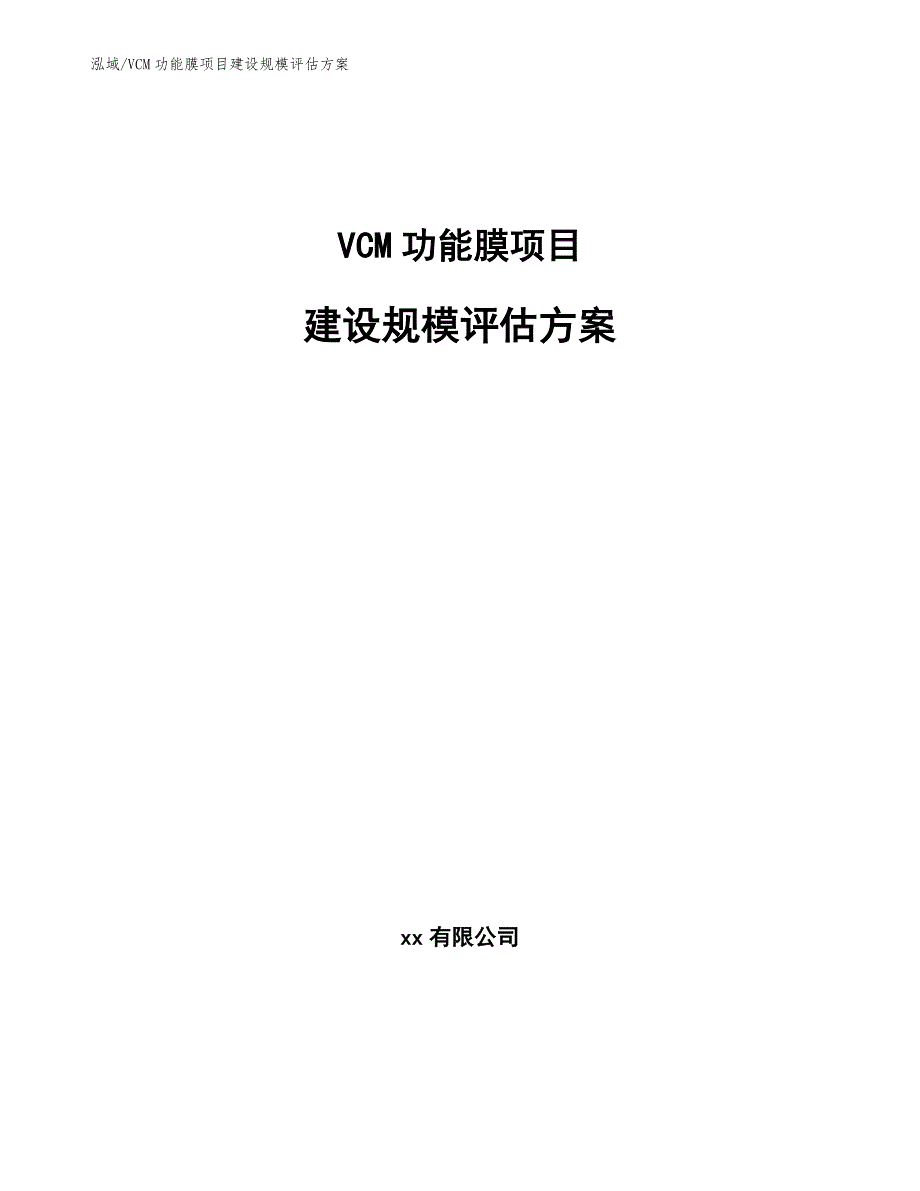 VCM功能膜项目建设规模评估方案【范文】_第1页