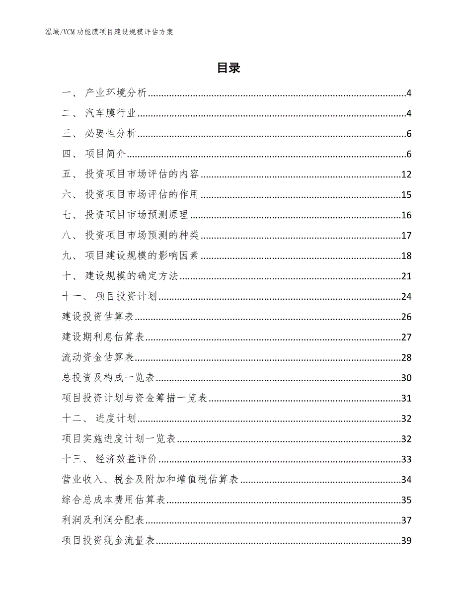 VCM功能膜项目建设规模评估方案【范文】_第2页