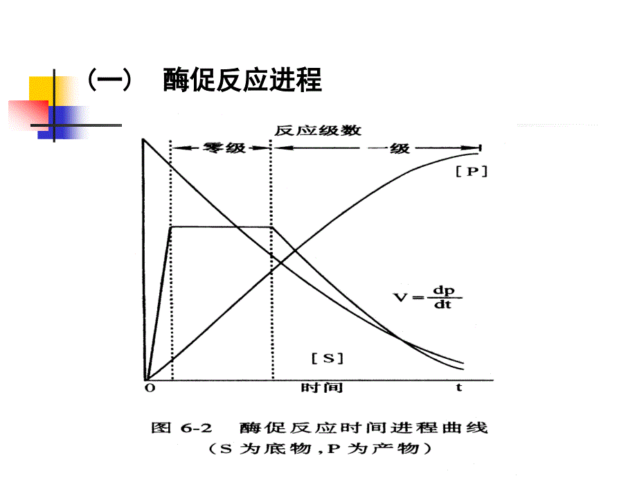 酶活性浓度的测定技术精_第4页