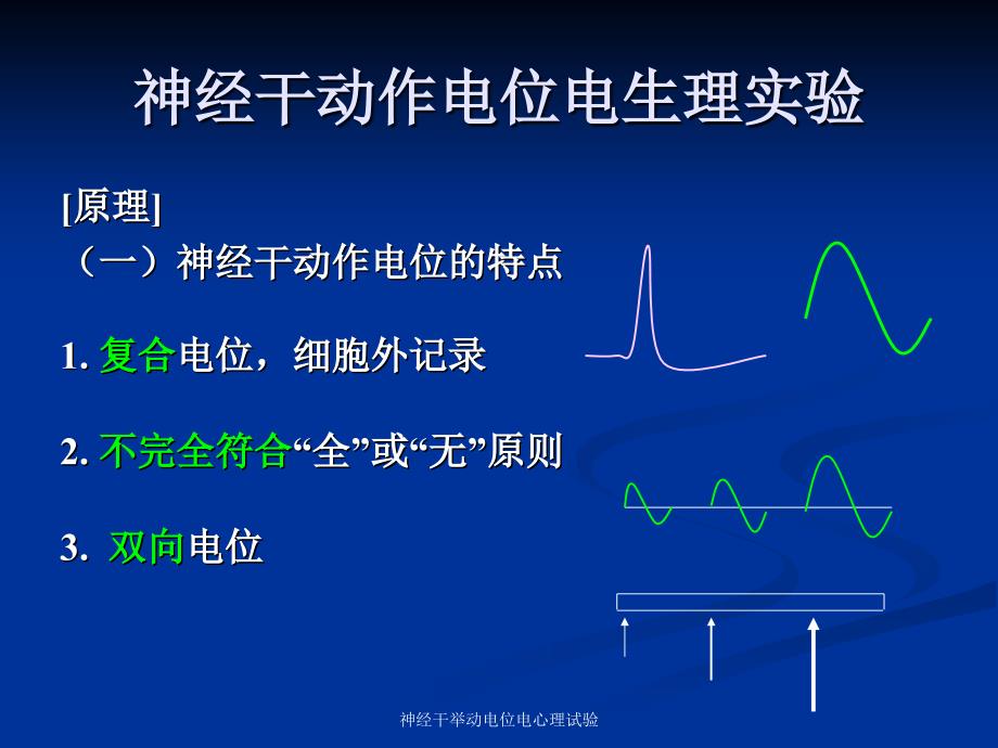 神经干举动电位电心理试验课件_第2页