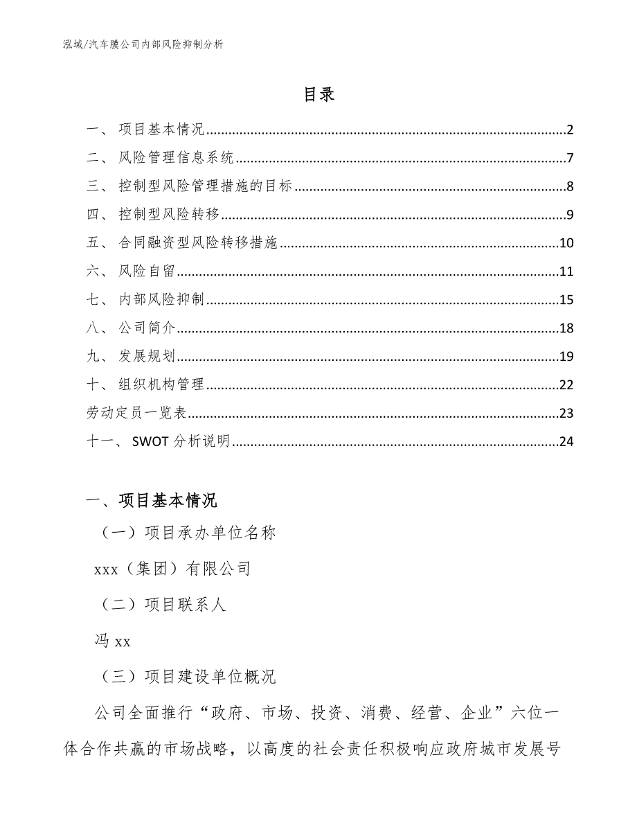 汽车膜公司内部风险抑制分析_参考_第2页