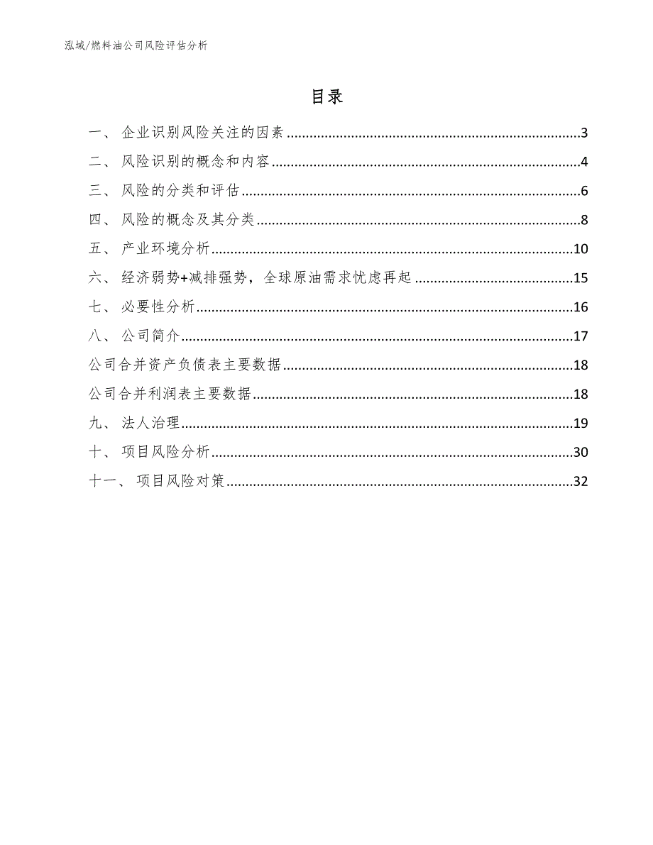 燃料油公司风险评估分析_第2页