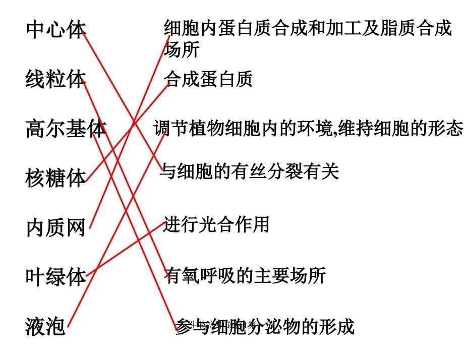 生物高中必修1第一节课件_第5页