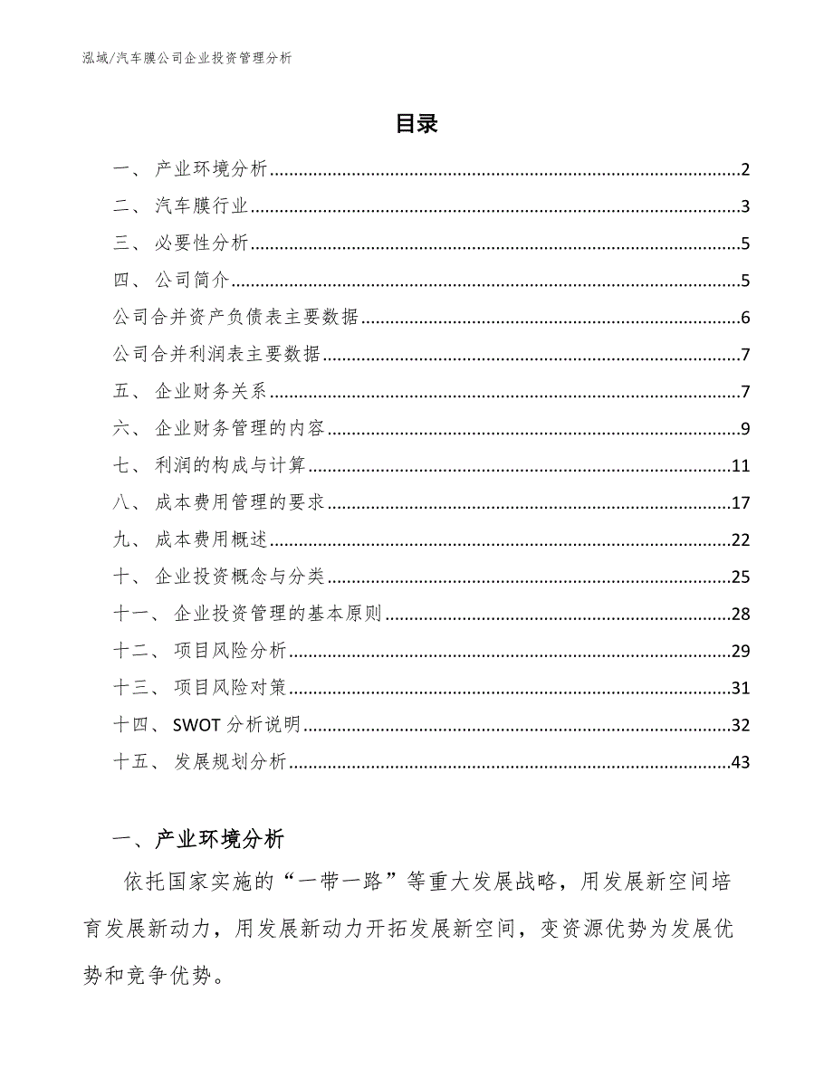 汽车膜公司企业投资管理分析_第2页