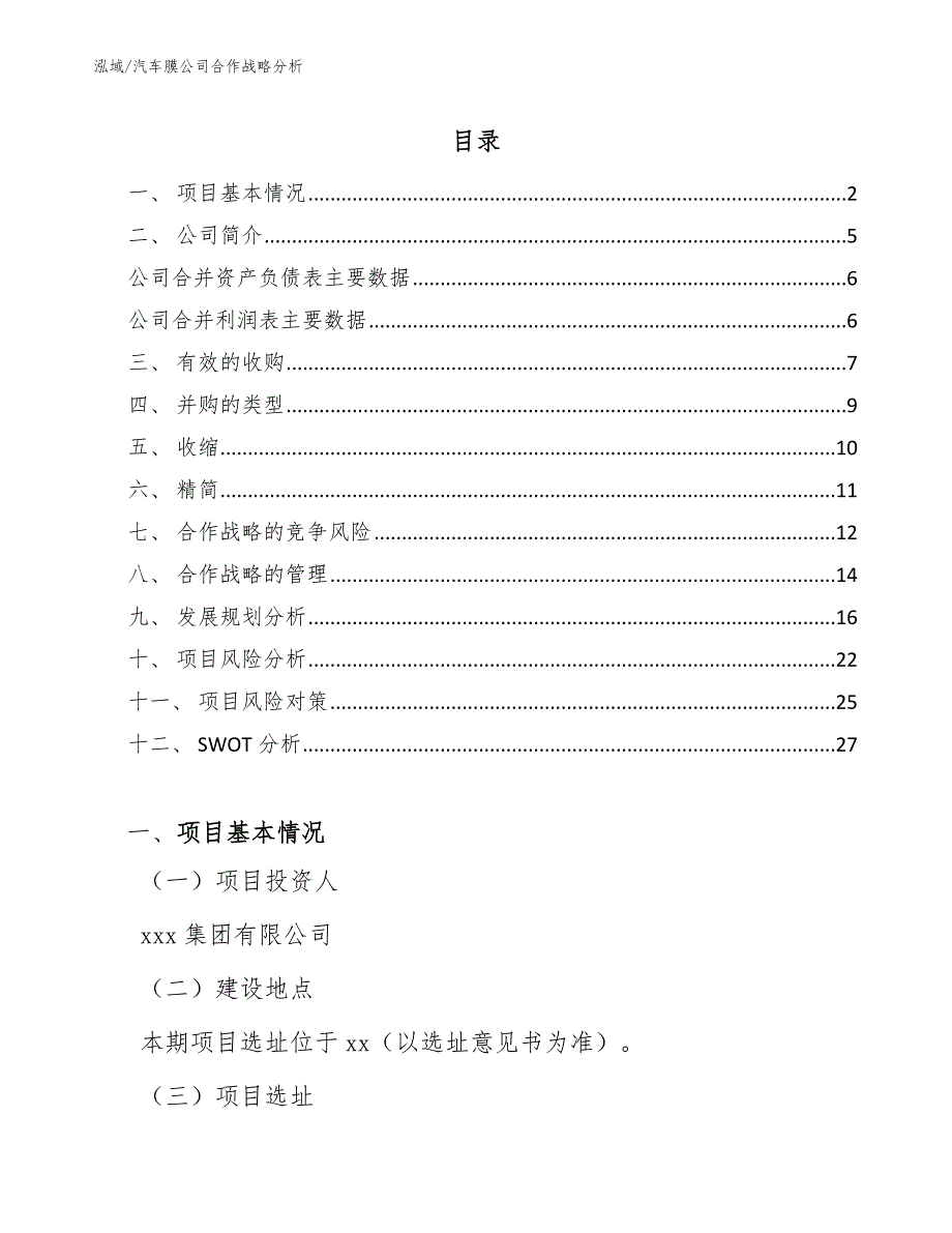 汽车膜公司合作战略分析（范文）_第2页