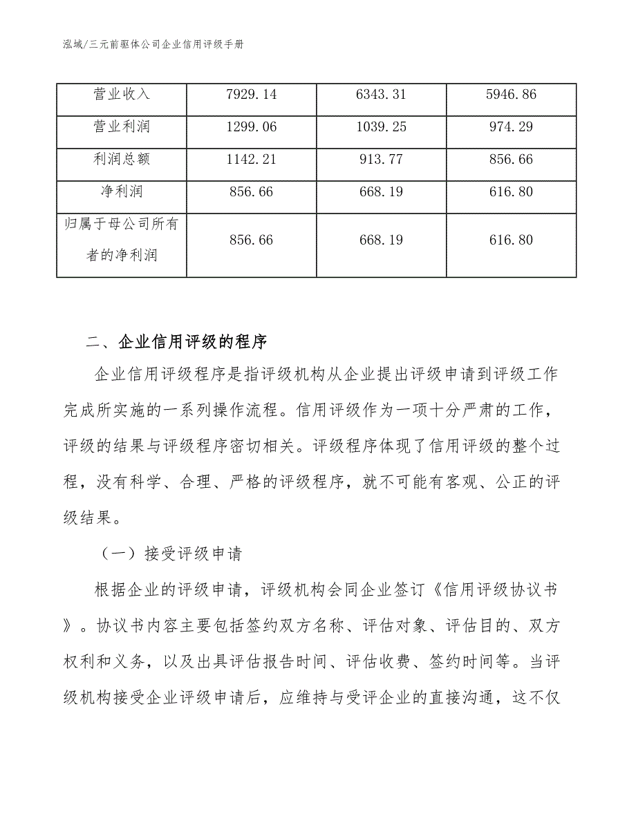 三元前驱体公司企业信用评级手册【范文】_第3页