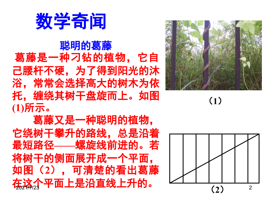 勾股定理应用题1PPT课件_第2页