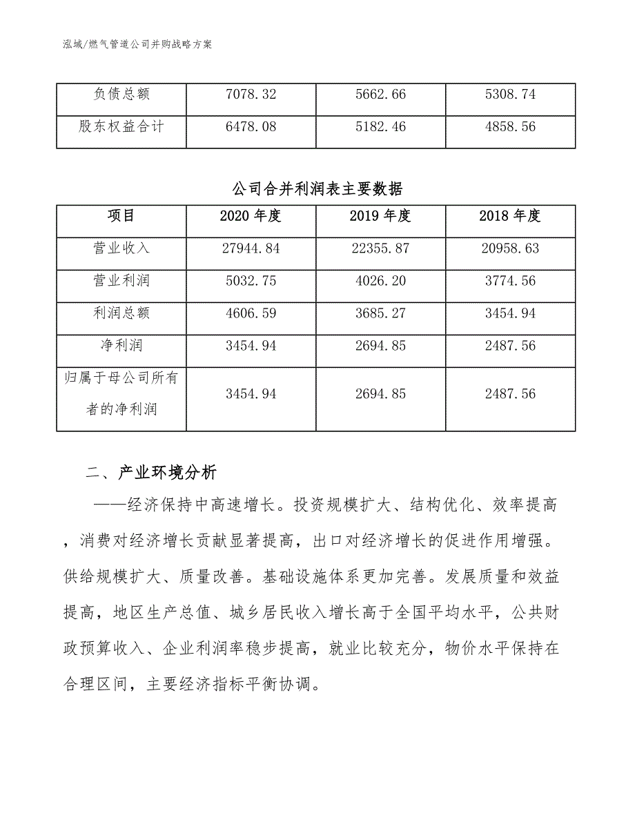 燃气管道公司并购战略方案（范文）_第4页