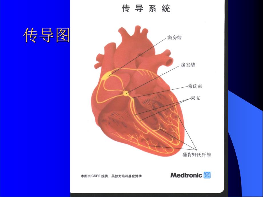 循环系统疾病.心律失常1x_第2页