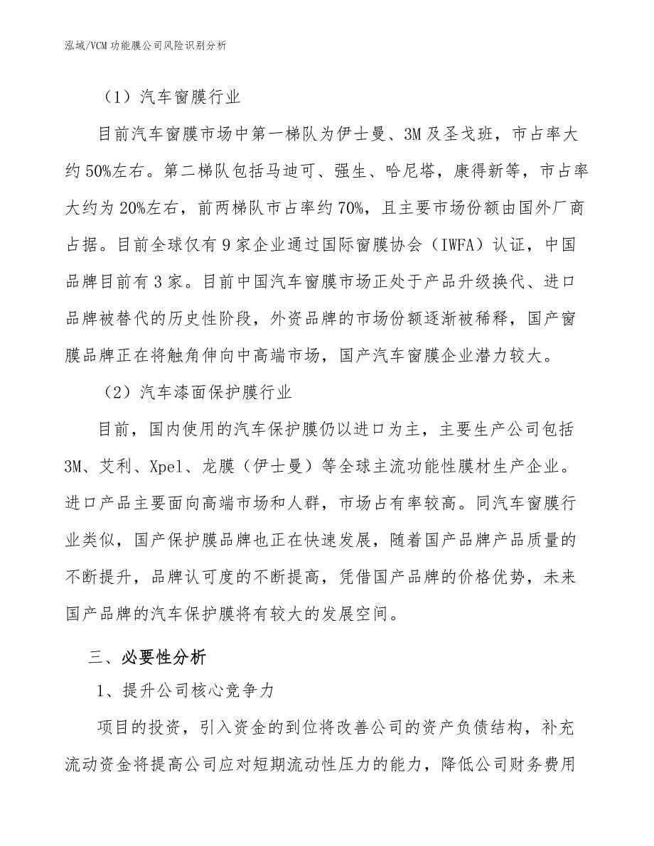 VCM功能膜公司风险识别分析_参考_第5页