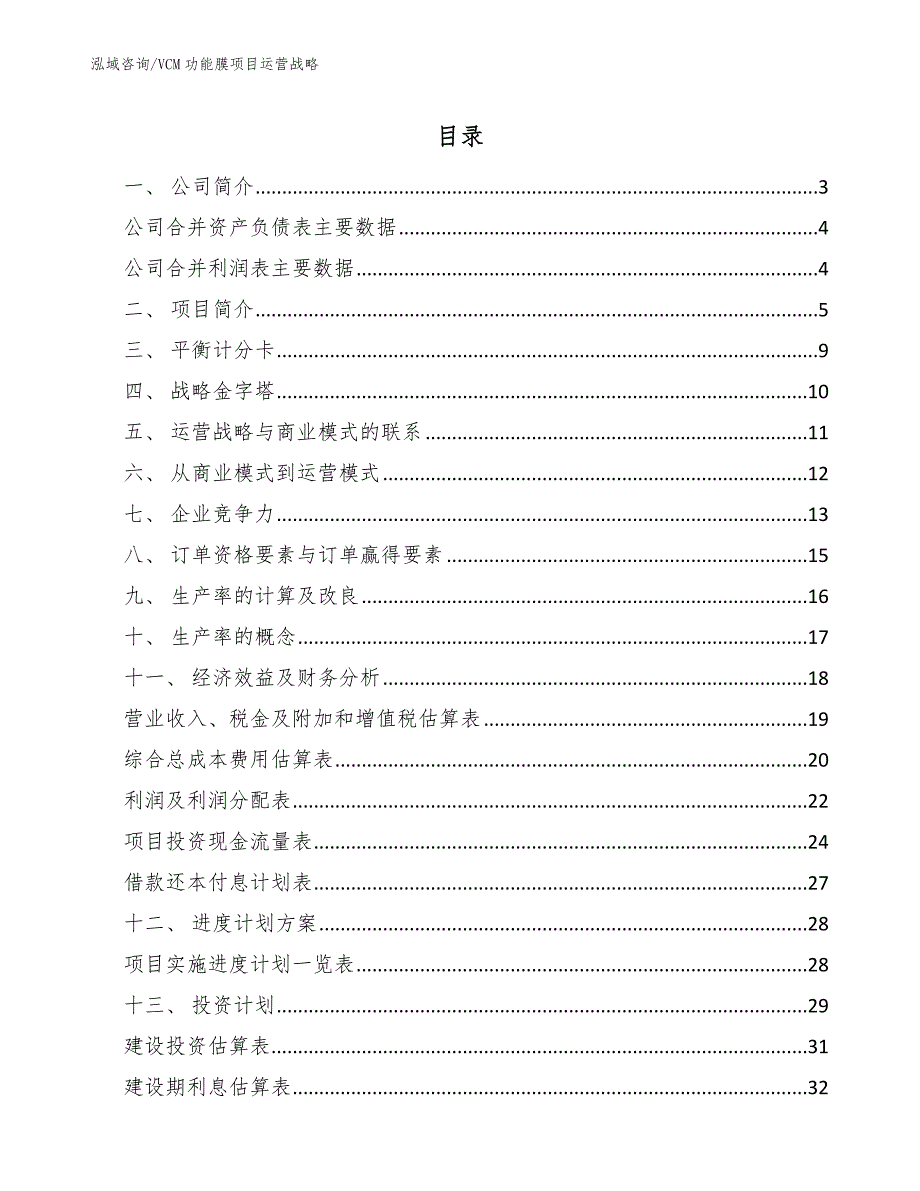 VCM功能膜项目运营战略_参考_第2页