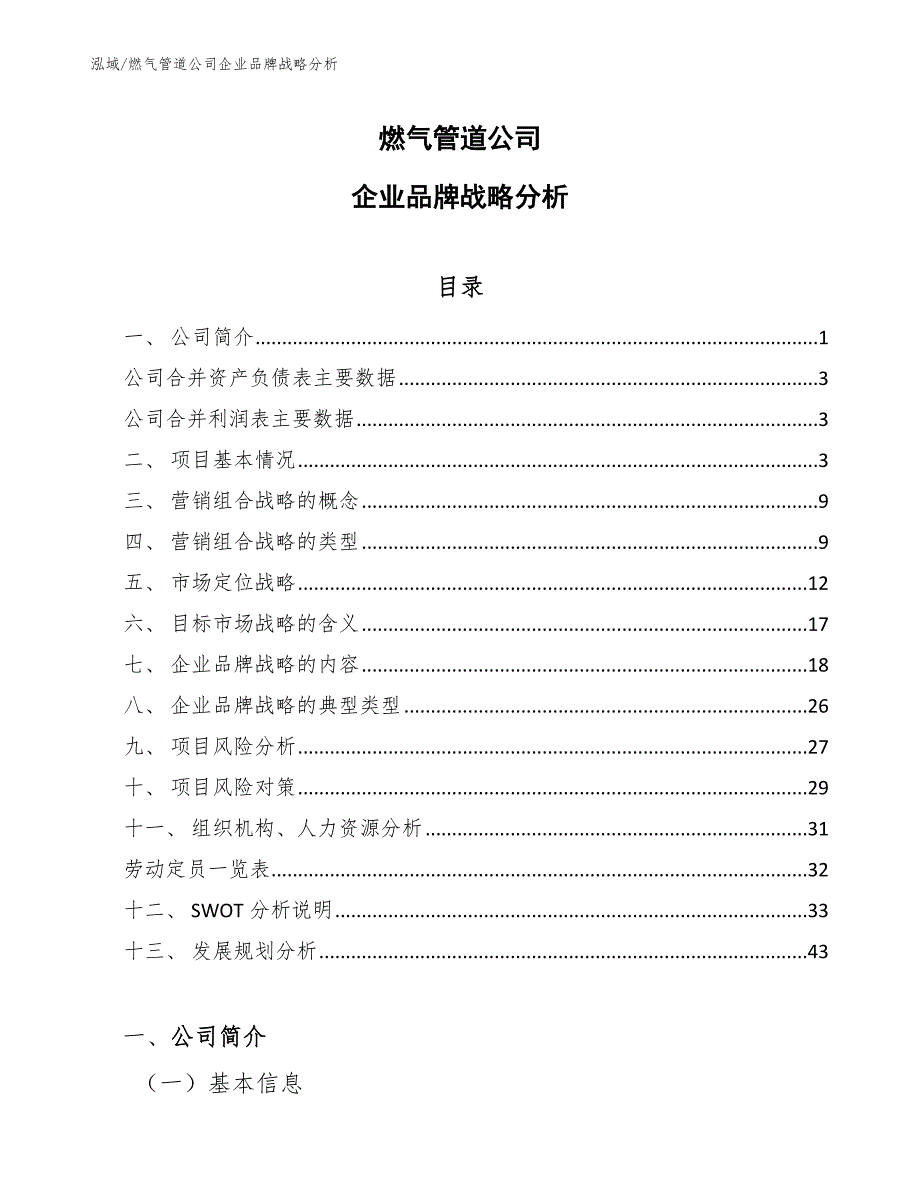 燃气管道公司企业品牌战略分析_第1页