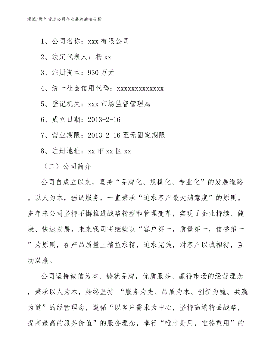 燃气管道公司企业品牌战略分析_第2页