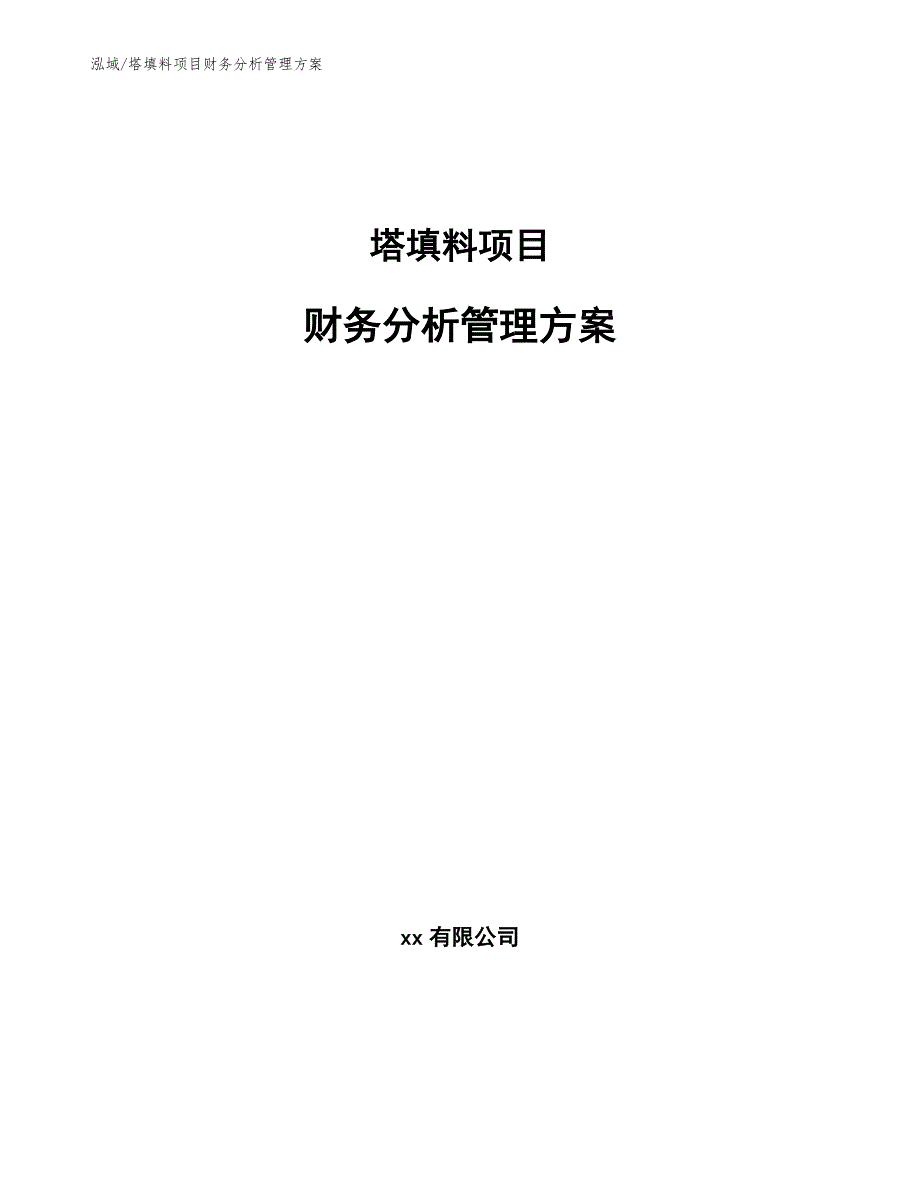 塔填料项目财务分析管理方案_第1页