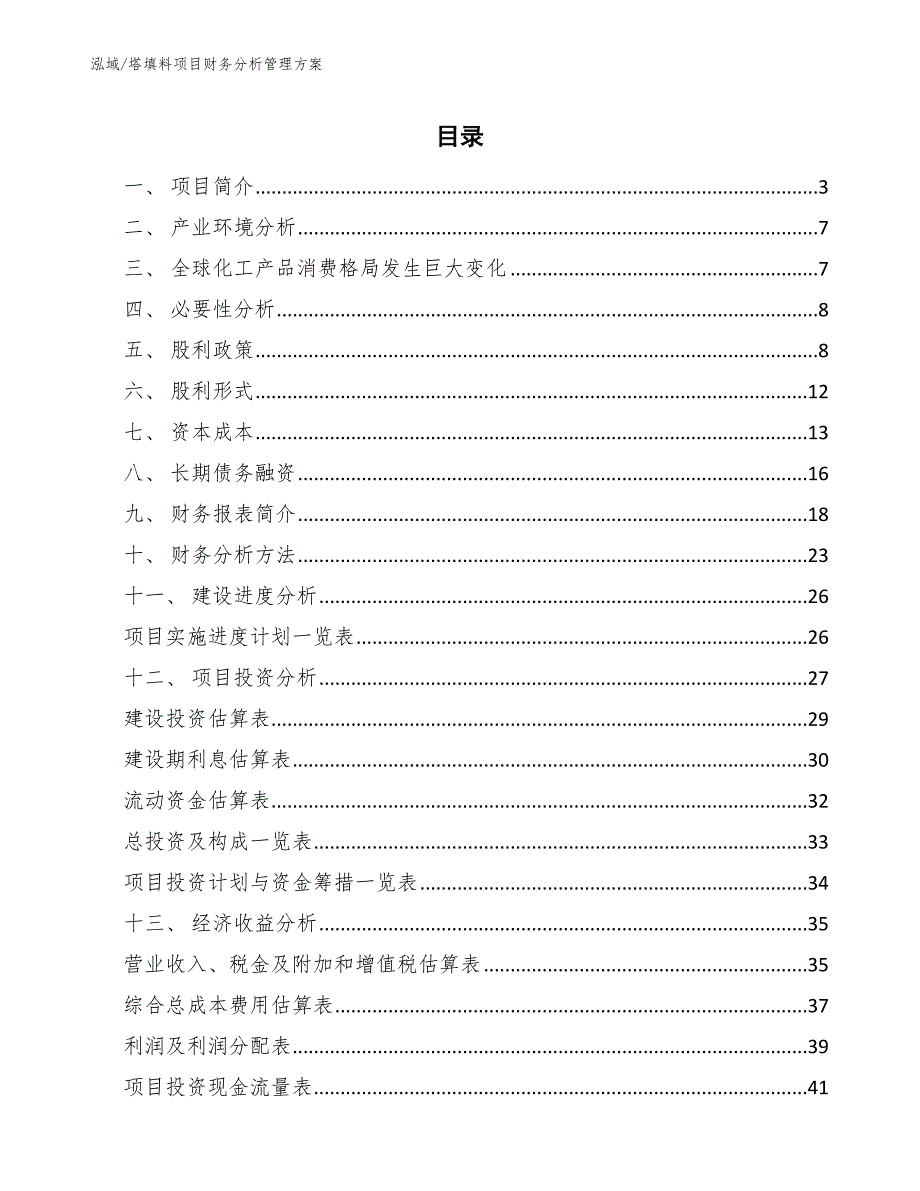 塔填料项目财务分析管理方案_第2页