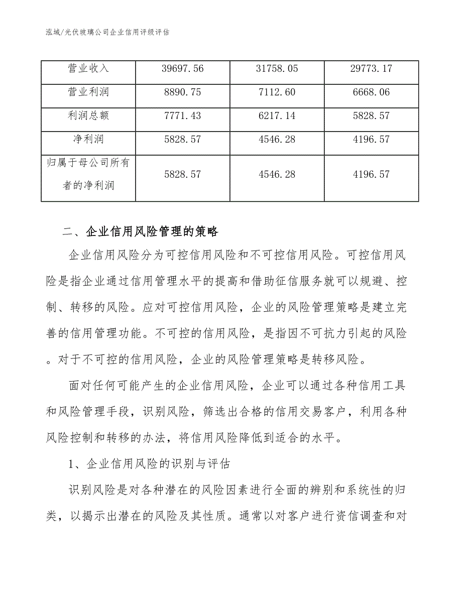 光伏玻璃公司企业信用评级评估_第3页