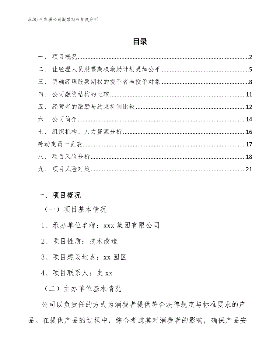 汽车膜公司股票期权制度分析_第2页