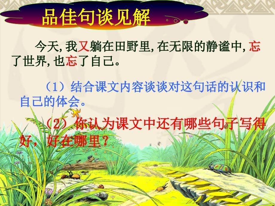 六年级语文上册第一组3草虫的村落课件_第5页