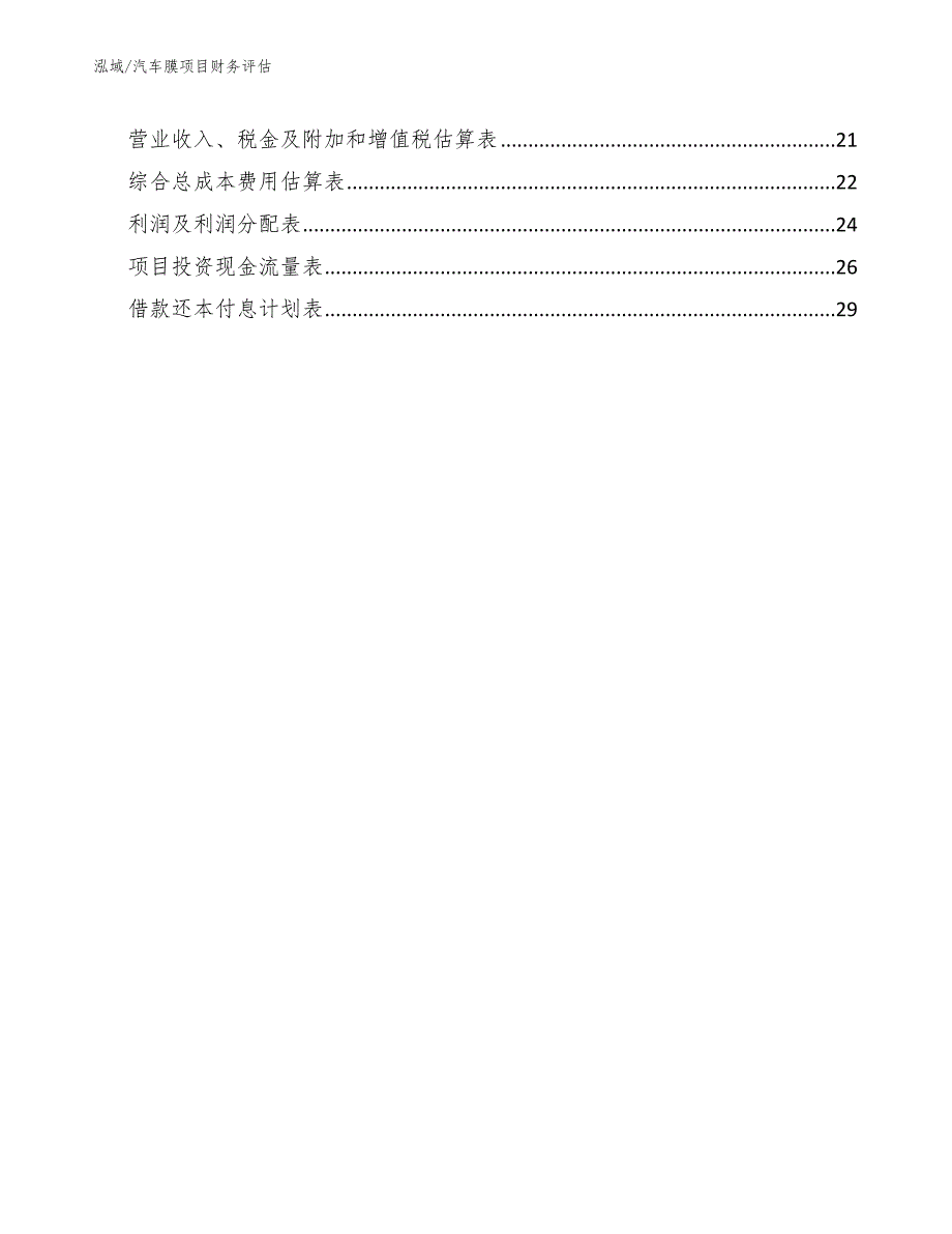 汽车膜项目财务评估_第2页