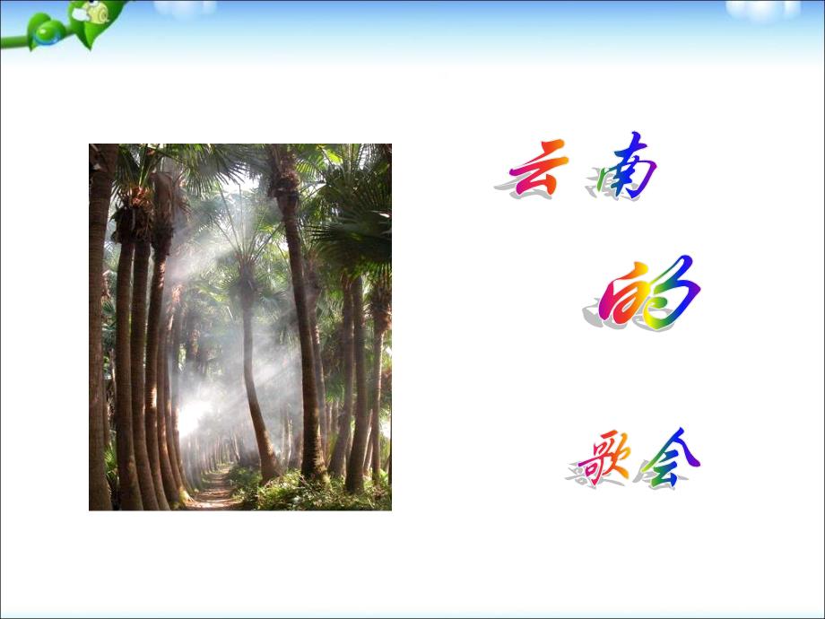 新人教版八年级语文下册ppt课件第16课云南的歌会_第1页