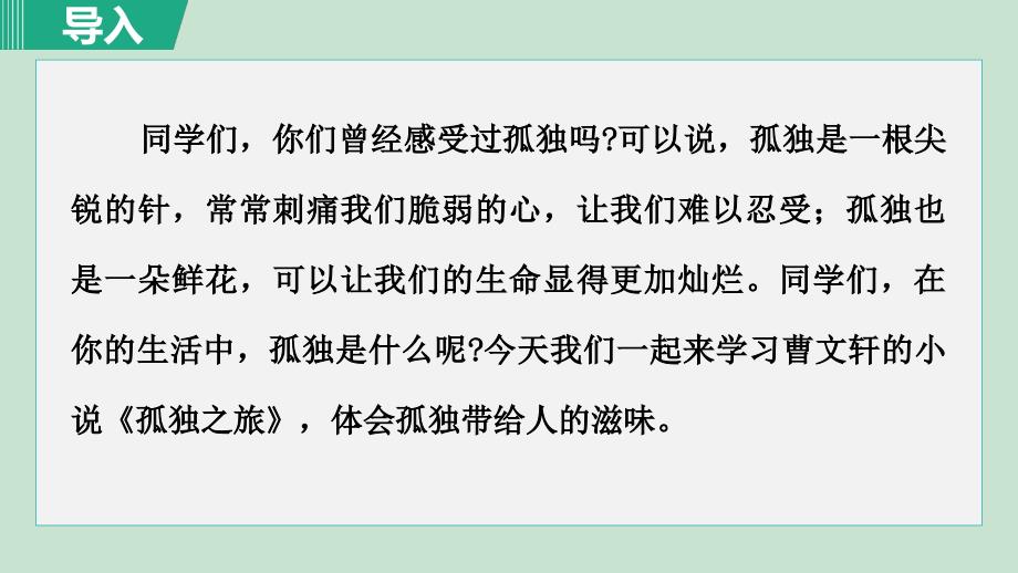 新统编部编版九年级语文上册《孤独之旅》第二课时教学课件_第2页