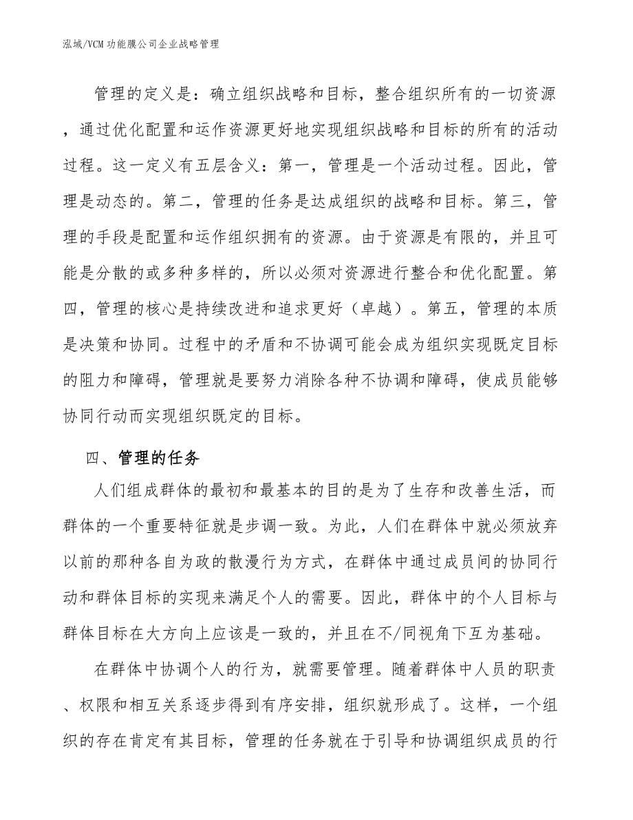 VCM功能膜公司企业战略管理_第5页