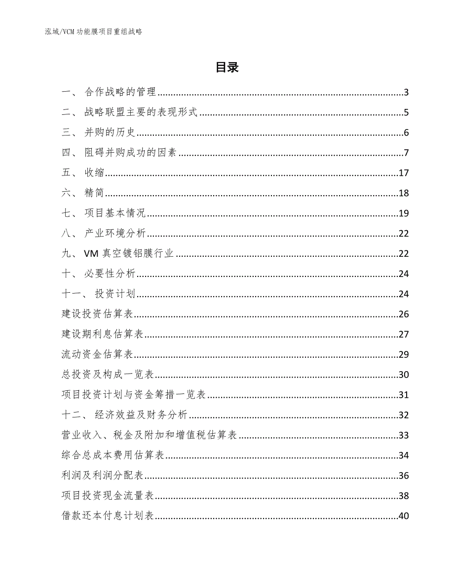 VCM功能膜项目重组战略_范文_第2页