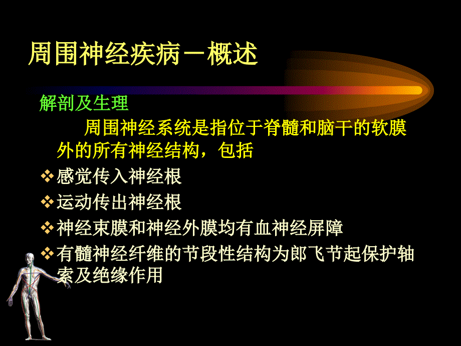 《周围神经病》PPT课件_第3页