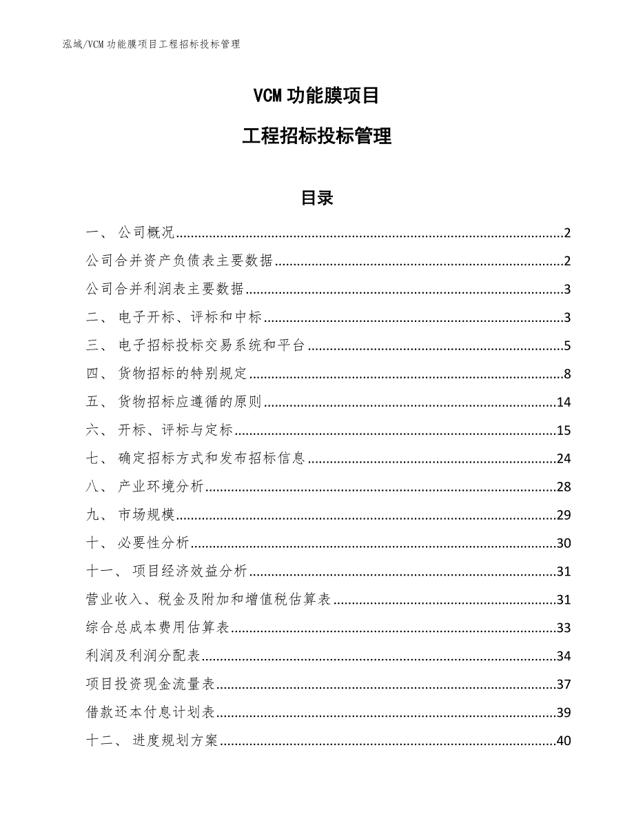 VCM功能膜项目工程招标投标管理_范文_第1页