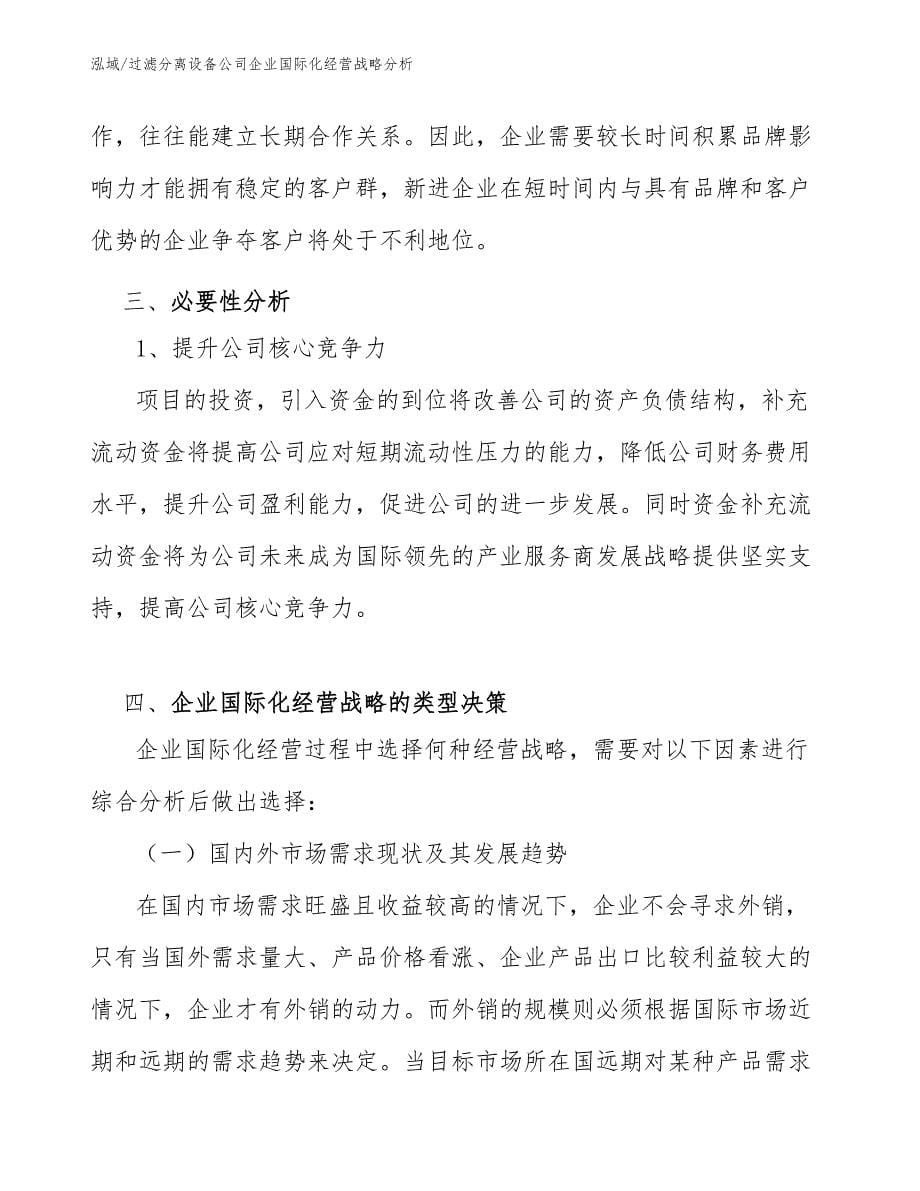 过滤分离设备公司企业国际化经营战略分析（参考）_第5页