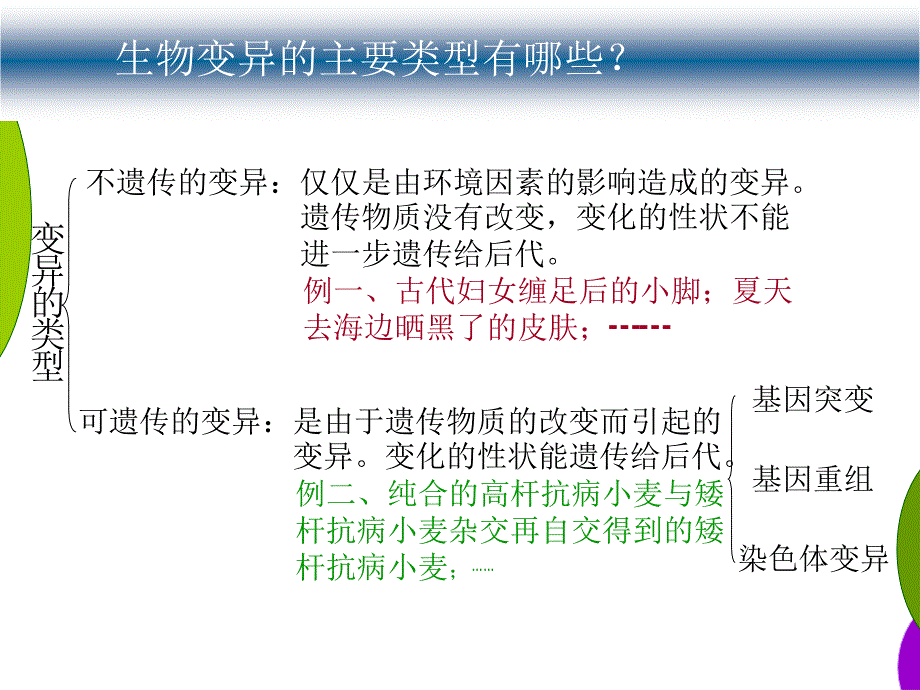 人教版教学课件基因突变和基因重组_第2页