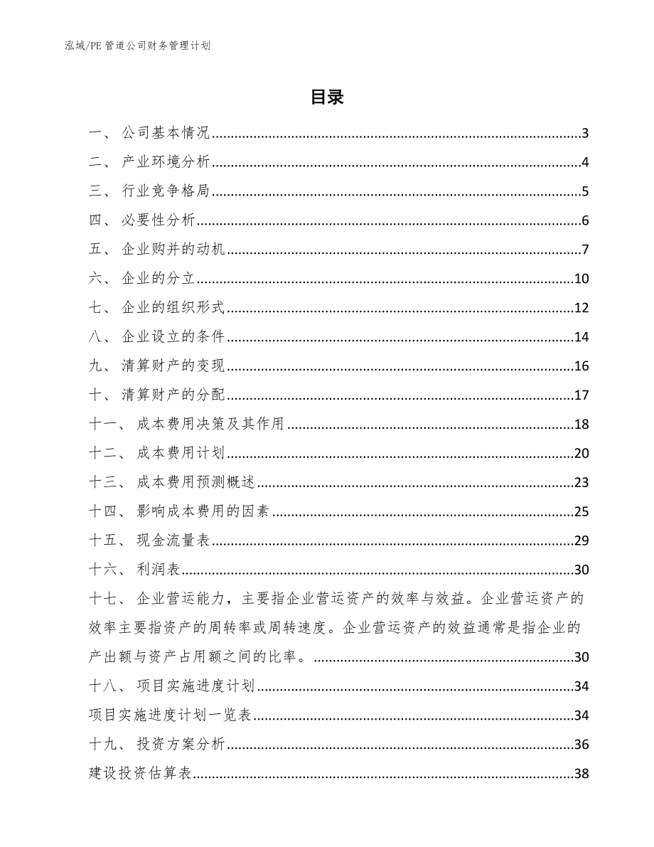 PE管道公司财务管理计划（参考）_第2页