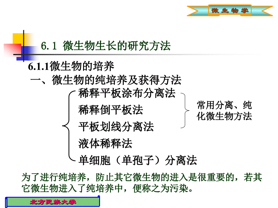 第六章 微生物的生长及其控制(刘)_第4页