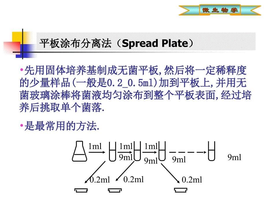 第六章 微生物的生长及其控制(刘)_第5页