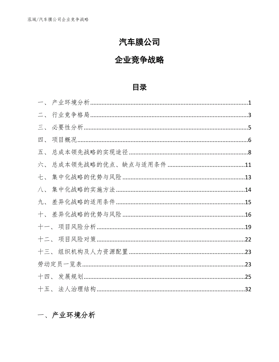 汽车膜公司企业竞争战略【参考】_第1页