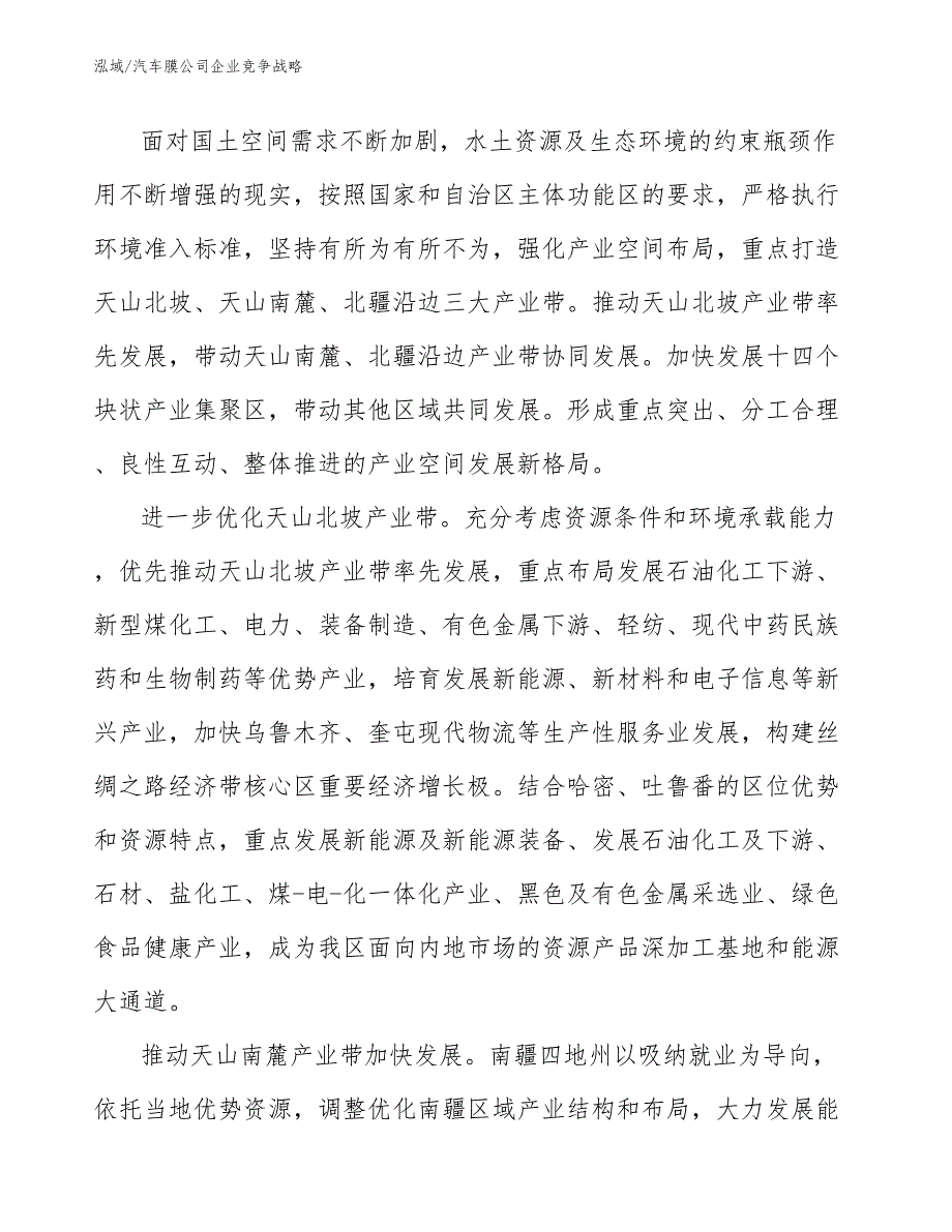 汽车膜公司企业竞争战略【参考】_第2页