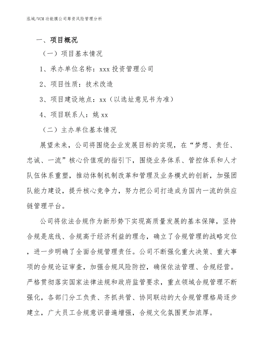 VCM功能膜公司筹资风险管理分析_参考_第3页