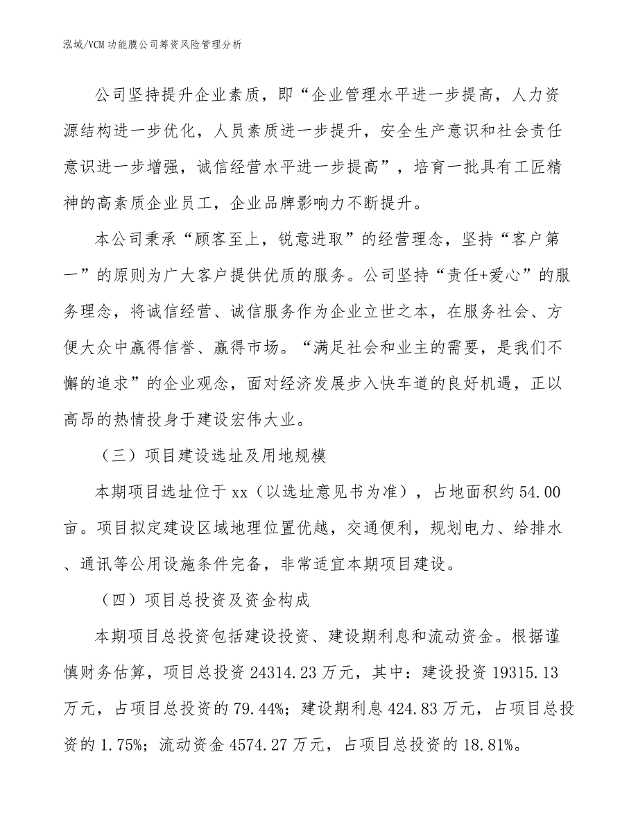 VCM功能膜公司筹资风险管理分析_参考_第4页