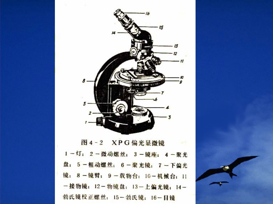 《偏光显微镜》PPT课件_第4页