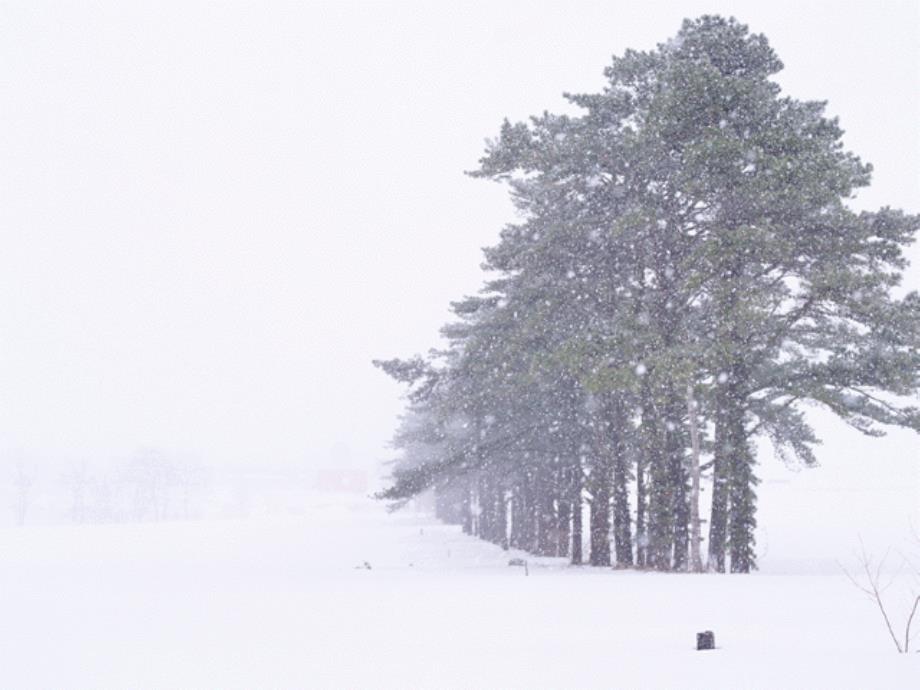 毛泽东沁园雪课件25页_第3页