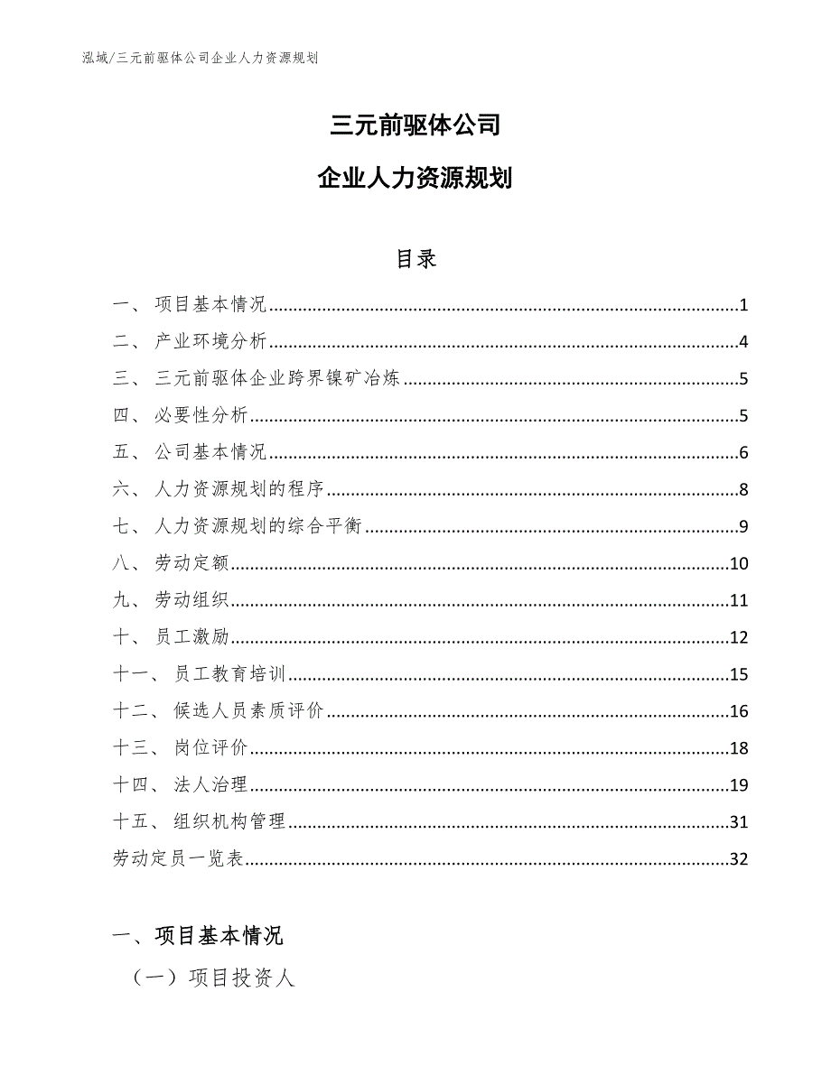 三元前驱体公司企业人力资源规划（参考）_第1页